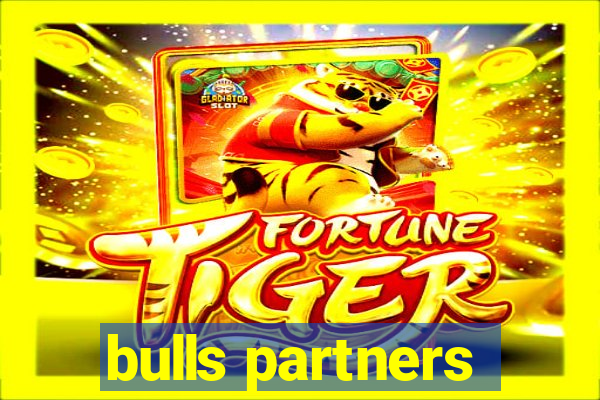 bulls partners